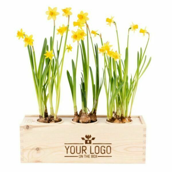 Bloemen, Planten & Zaden