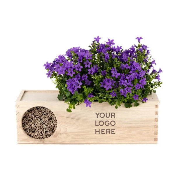 Blooms & Bees